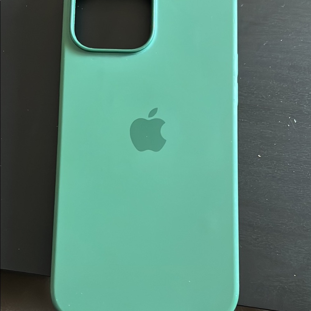 iPhone 13 Pro Max case